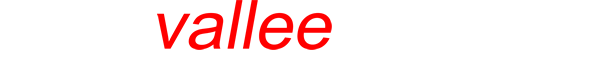 three vallee transfers logo