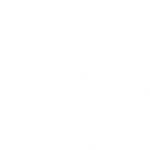 one tree at a time logo in white