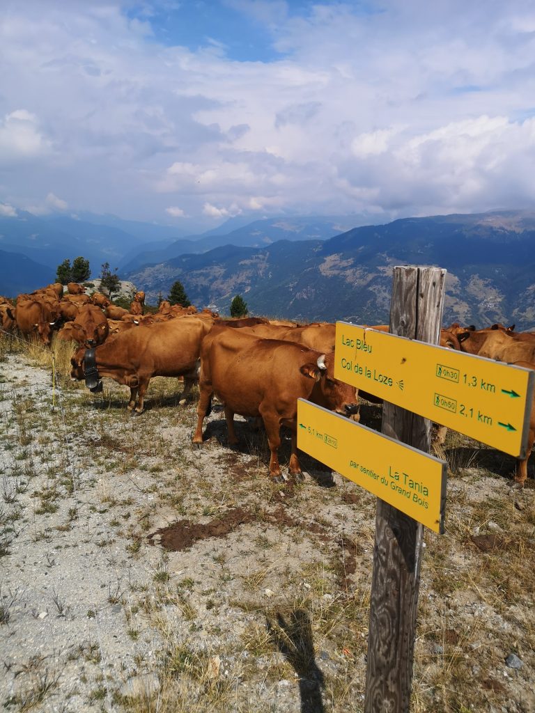 hiking in courchevel